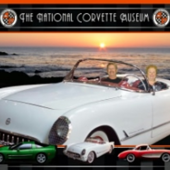 Meet your Posher, Guinevere - Picture 1 of 1